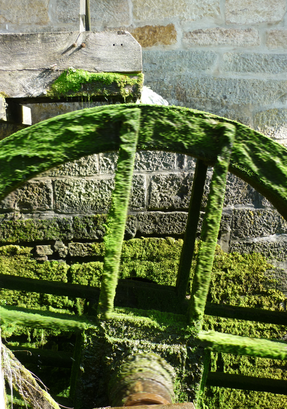 dingle01