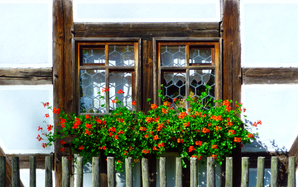 dingle01